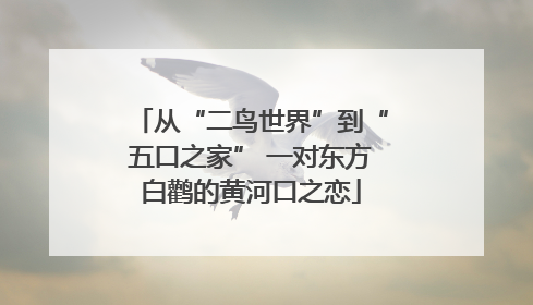 从“二鸟世界”到“五口之家” 一对东方白鹳的黄河口之恋