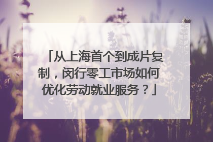 从上海首个到成片复制，闵行零工市场如何优化劳动就业服务？