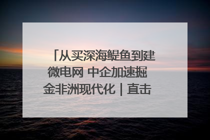 从买深海鳀鱼到建微电网 中企加速掘金非洲现代化｜直击中非经贸博览会