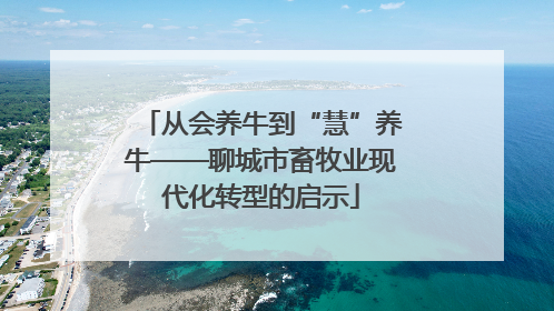 从会养牛到“慧”养牛——聊城市畜牧业现代化转型的启示