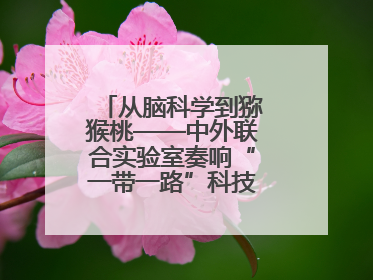 从脑科学到猕猴桃——中外联合实验室奏响“一带一路”科技合作交响曲