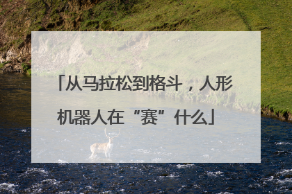从马拉松到格斗，人形机器人在“赛”什么