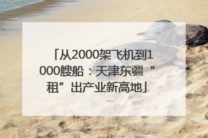 从2000架飞机到1000艘船：天津东疆“租”出产业新高地