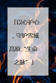 以心护心，守护雪域高原“生命之脉”