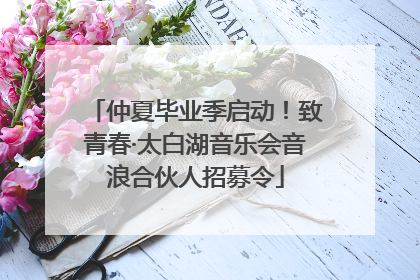 仲夏毕业季启动！致青春·太白湖音乐会音浪合伙人招募令