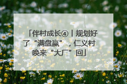 伴村成长④丨规划好了“满盘赢”，仁义村唤来“大厂”回