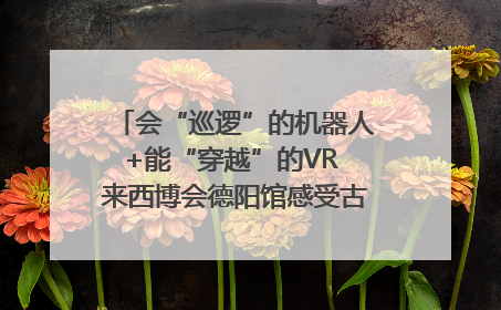 会“巡逻”的机器人+能“穿越”的VR 来西博会德阳馆感受古蜀文明与现代智造的时空对话｜西博视界