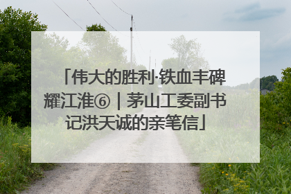 伟大的胜利·铁血丰碑耀江淮⑥｜茅山工委副书记洪天诚的亲笔信