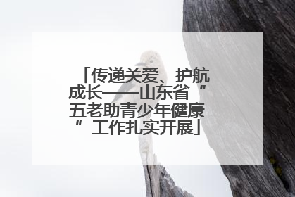 传递关爱、护航成长——山东省“五老助青少年健康”工作扎实开展