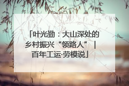 叶光勤：大山深处的乡村振兴“领路人”｜百年工运·劳模说