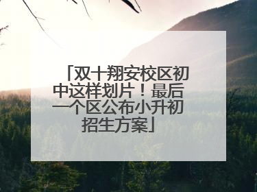 双十翔安校区初中这样划片！最后一个区公布小升初招生方案