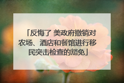 反悔了 美政府撤销对农场、酒店和餐馆进行移民突击检查的豁免