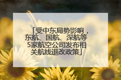 受中东局势影响，东航、国航、深航等5家航空公司发布相关航线退改政策