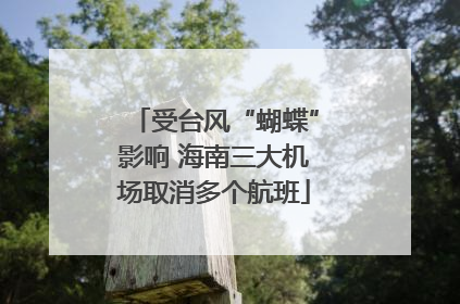 受台风“蝴蝶”影响 海南三大机场取消多个航班