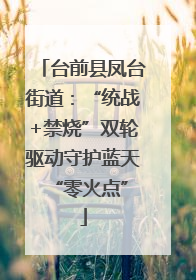 台前县凤台街道：“统战+禁烧”双轮驱动守护蓝天 “零火点”