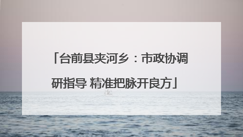 台前县夹河乡：市政协调研指导 精准把脉开良方