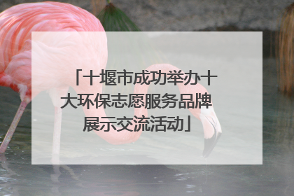 十堰市成功举办十大环保志愿服务品牌展示交流活动