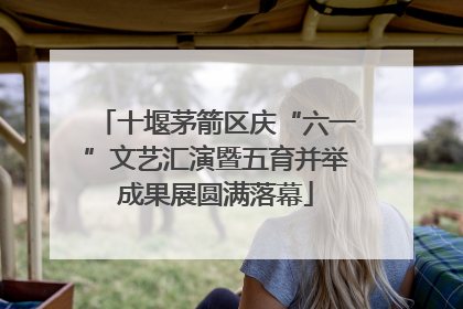十堰茅箭区庆“六一”文艺汇演暨五育并举成果展圆满落幕