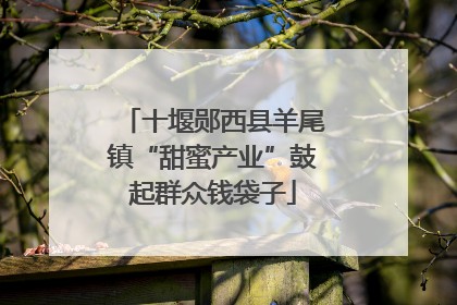 十堰郧西县羊尾镇“甜蜜产业”鼓起群众钱袋子