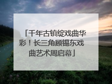 千年古镇绽戏曲华彩！长三角顾锡东戏曲艺术周启幕