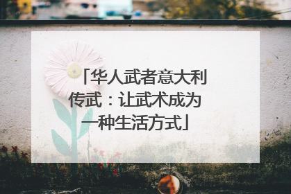 华人武者意大利传武：让武术成为一种生活方式