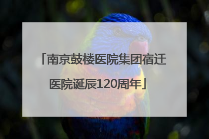 南京鼓楼医院集团宿迁医院诞辰120周年