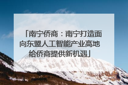 南宁侨商：南宁打造面向东盟人工智能产业高地给侨商提供新机遇