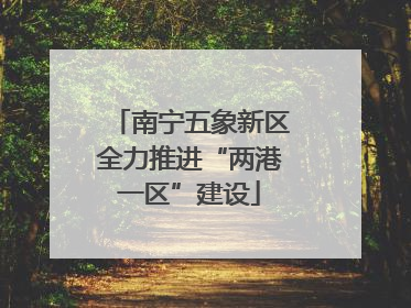 南宁五象新区全力推进“两港一区”建设