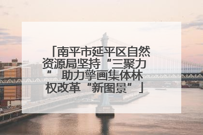 南平市延平区自然资源局坚持“三聚力” 助力擎画集体林权改革“新图景”