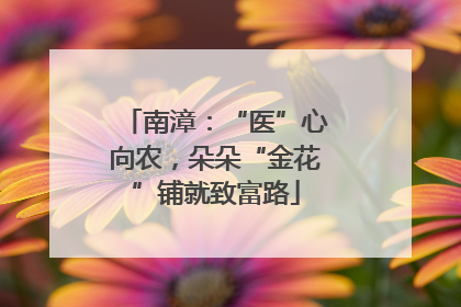 南漳：“医”心向农，朵朵“金花”铺就致富路