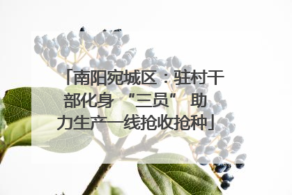南阳宛城区：驻村干部化身 “三员” 助力生产一线抢收抢种