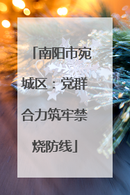南阳市宛城区：党群合力筑牢禁烧防线
