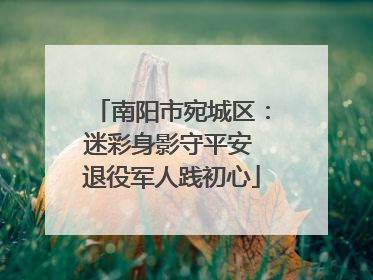 南阳市宛城区：迷彩身影守平安 退役军人践初心