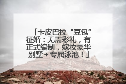 卡皮巴拉“豆包”征婚：无需彩礼，有正式编制，嫁妆豪华别墅＋专属泳池！