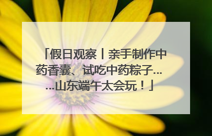 假日观察丨亲手制作中药香囊、试吃中药粽子……山东端午太会玩！