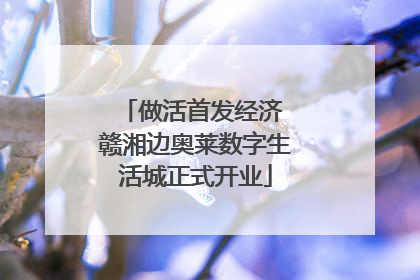 做活首发经济 赣湘边奥莱数字生活城正式开业