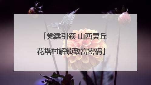 党建引领 山西灵丘花塔村解锁致富密码