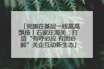 党旗在基层一线高高飘扬丨石家庄海关：打造“有呼必应 有困必解”关企互动新生态