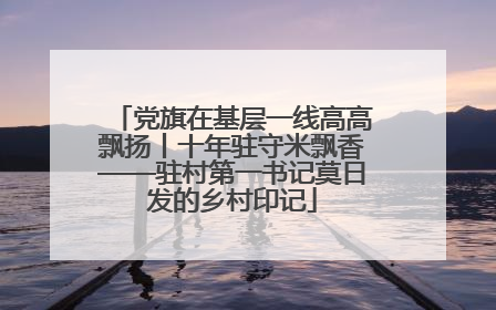 党旗在基层一线高高飘扬丨十年驻守米飘香——驻村第一书记莫日发的乡村印记