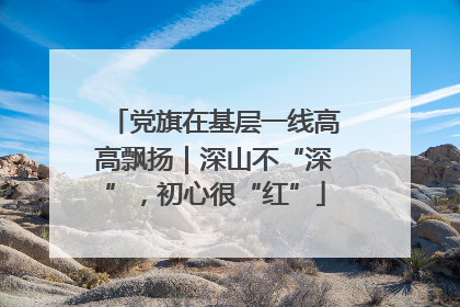 党旗在基层一线高高飘扬｜深山不“深”，初心很“红”