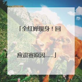 全红婵现身！回应退赛原因……