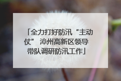 全力打好防汛“主动仗” 漳州高新区领导带队调研防汛工作