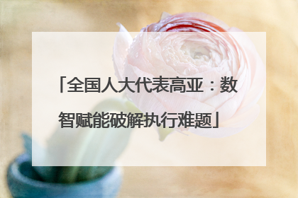全国人大代表高亚：数智赋能破解执行难题