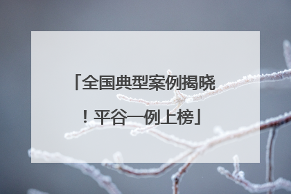 全国典型案例揭晓！平谷一例上榜