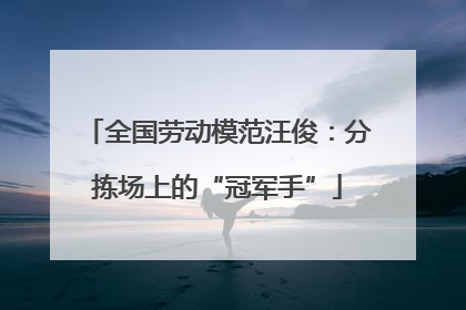 全国劳动模范汪俊：分拣场上的“冠军手”