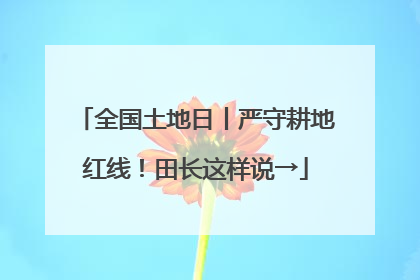全国土地日丨严守耕地红线！田长这样说→