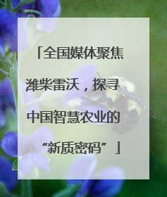 全国媒体聚焦潍柴雷沃，探寻中国智慧农业的“新质密码”