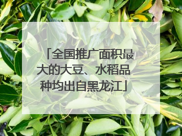 全国推广面积最大的大豆、水稻品种均出自黑龙江