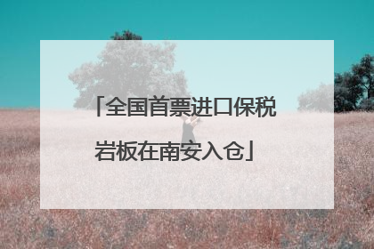 全国首票进口保税岩板在南安入仓