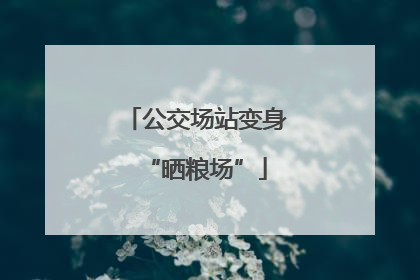 公交场站变身“晒粮场”